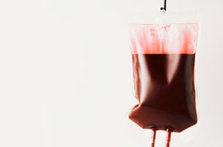 Pet Blood Transfusions Dalton Blood IV For Pets