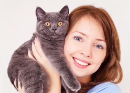 Cat Preventative Care in Dalton Cat with Owner
