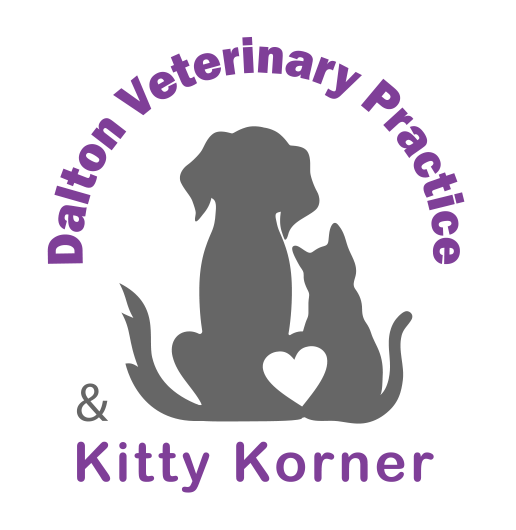 Dalton Veterinary Practice