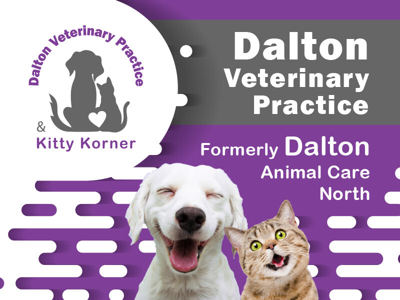 Dalton Veterinary Practice Rebranding